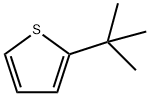 2-T-BUTYLTHIOPHENE Structure