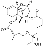 RORIDIN E Structure