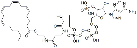 S-[2-[3-[[(2R)-4-[[[(2R,3R,5R)-5-(6-aminopurin-9-yl)-4-hydroxy-3-phosphonooxyoxolan-2-yl]methoxy-hydroxyphosphoryl]oxy-hydroxyphosphoryl]oxy-2-hydroxy-3,3-dimethylbutanoyl]amino]propanoylamino]ethyl] (5Z,8Z,11Z,14Z)-icosa-5,8,11,14-tetraenethioate 구조식 이미지