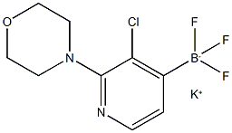 potassiuM (3-chloro-2-Morpholinopyridin-4-yl)trifluoroborate 구조식 이미지