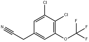 3,4-Dichloro-5-(trifluoromethoxy)phenylacetonitrile Structure