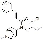 (E)-N-butyl-N-(8-methyl-8-azabicyclo[3.2.1]oct-3-yl)-3-phenyl-prop-2-e namide hydrochloride 구조식 이미지