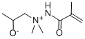 1,1-Dimethyl-1-(2-hydroxypropylamine)methacrylimide. Structure