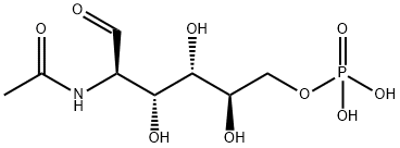 [(2R,3S,4R,5R)-5-acetamido-2,3,4-trihydroxy-6-oxo-hexoxy]phosphonic acid 구조식 이미지