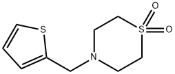 4-(2-THIENYLMETHYL)-1LAMBDA6,4-THIAZINANE-1,1-DIONE Structure