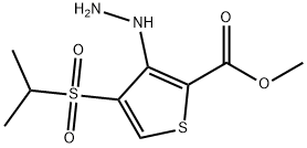 METHYL 3-HYDRAZINO-4-(ISOPROPYLSULFONYL)THIOPHENE-2-CARBOXYLATE Structure