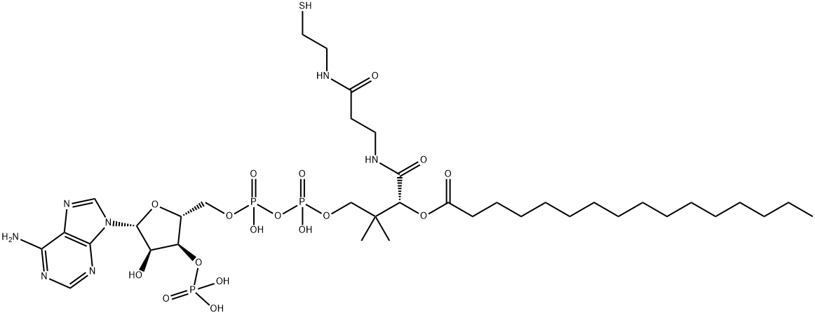 PALMITOYL COENZYME A POTASSIUM SALT Structure