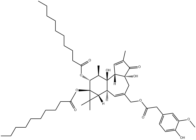 PDDHV Structure