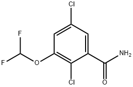 2,5-Dichloro-3-(difluoromethoxy)benzamide 구조식 이미지