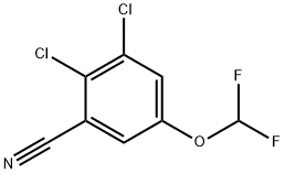 2,3-Dichloro-5-(difluoromethoxy)benzonitrile 구조식 이미지