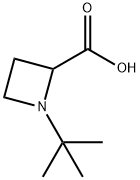 1-TERT-BUTYL-2-AZETIDINECARBOXYLIC ACID Structure