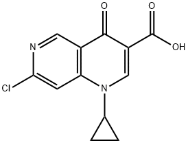 1,6-NAPHTHYRIDINE-3-CARBOXYLIC ACID, 7-CHLORO-1-CYCLOPROPYL-1,4-DIHYDRO-4-OXO- Structure