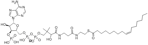 (C16:1) COENZYME A 구조식 이미지