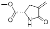 L-프롤린,4-메틸렌-5-옥소-,메틸에스테르(9CI) 구조식 이미지