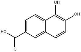 2-Naphthalenecarboxylic acid, 5,6-dihydroxy- (9CI) Structure