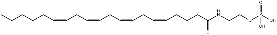 AEA-P Structure