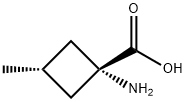 Cyclobutanecarboxylic acid, 1-amino-3-methyl-, trans- (9CI) Structure