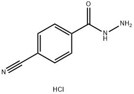 4-Cyanobenzohydrazide hydrochloride 구조식 이미지