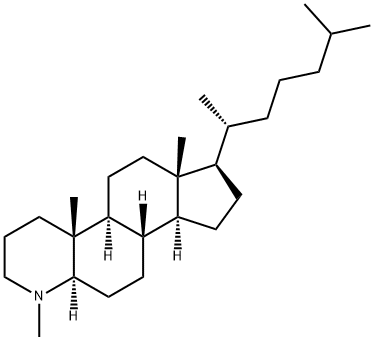 4-methyl-4-azacholestane Structure