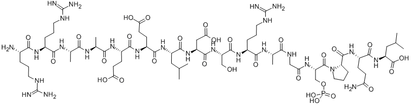 2B-(SP) Structure