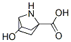 7-Azabicyclo[2.2.1]heptane-1-carboxylicacid,3-hydroxy-,exo-(9CI) 구조식 이미지