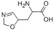 5-옥사졸프로파노산,알파-아미노-2,5-디하이드로-(9CI) 구조식 이미지