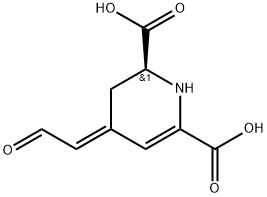 (2S,4E)-1,2,3,4-Tetrahydro-4-(2-oxoethylidene)pyridine-2,6-dicarboxylic acid Structure