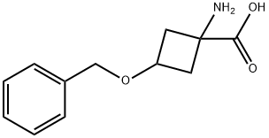 1-AMINO-3-BENZYLOXYCYCLOBUTANE-1-CARBOXYLIC ACID 구조식 이미지