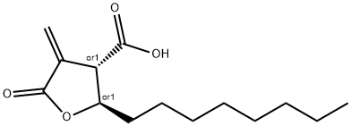 C75 Structure