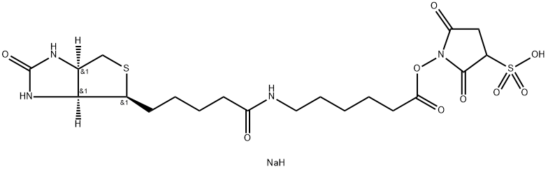 바이오틴아미드헥산산3-SULFO-N-HYDROXYSUCCINIMIDE에스테르나트륨염 구조식 이미지