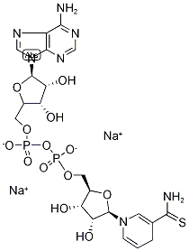 Thio-NADH Structure