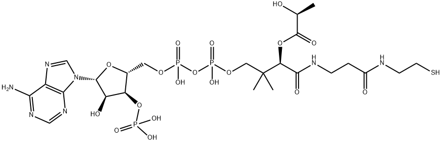 [(2R,3R,4R,5R)-5-(6-aminopurin-9-yl)-4-hydroxy-2-[[hydroxy-[hydroxy-[(3R)-3-hydroxy-3-[2-[2-(2-hydroxypropanoylsulfanyl)ethylcarbamoyl]ethylcarbamoyl]-2,2-dimethyl-propoxy]phosphoryl]oxy-phosphoryl]oxymethyl]oxolan-3-yl]oxyphosphonic acid 구조식 이미지