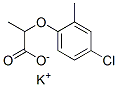 potassium 2-(4-chloro-2-methylphenoxy)propionate Structure