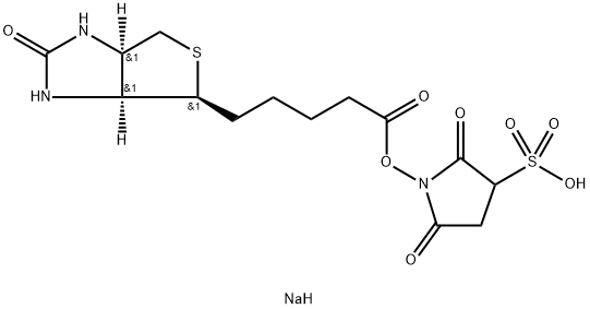 Sulpho NHS biotin Structure