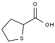 19418-11-2 2-Thiophenecarboxylic acid, tetrahydro-