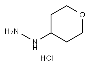 194543-22-1 (tetrahydro-pyran-4-yl)-hydrazine hydrochloride