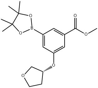 Methyl 3-[(3R)-tetrahydrofuran-3-yl]oxy-5-(4,4,5,5-tetramethyl1,3,2-dioxaborolan-2-yl)benzoate 구조식 이미지
