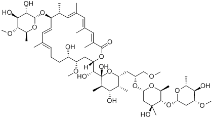 Apoptolidin Structure