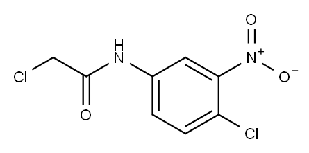 2-CHLORO-N-(4-CHLORO-3-NITROPHENYL)ACETAMIDE Structure