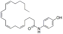 AM 404 Structure