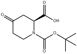 1-(tert-부톡시카르보닐)-4-옥소피페리딘-2-카르복실산 구조식 이미지