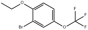 2-BROMO-1-ETHOXY-4-(TRIFLUOROMETHOXY)벤젠 구조식 이미지