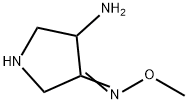 3-Pyrrolidinone,4-amino-,O-methyloxime(9CI) Structure