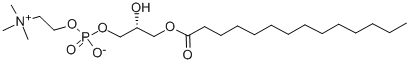 20559-16-4 1-MYRISTOYL-SN-GLYCERO-3-PHOSPHOCHOLINE