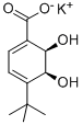 (2R,3S)-1-CARBOXY-4-TERT-BUTYL-2,3-DIHYDROXYCYCLOHEXA-4,6-DIENE, POTASSIUM SALT 구조식 이미지