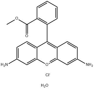 RHODAMINE 123 HYDRATE Structure