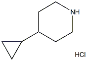 4-cyclopropyl piperidine hydrochloride Structure