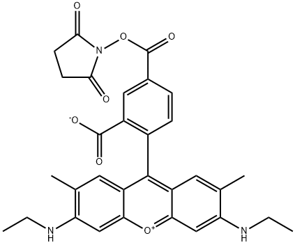 5-Carboxyrhodamine 6G succinimidyl ester 구조식 이미지