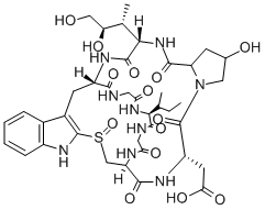 AMANIN Structure