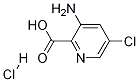 3-아미노-5-클로로피리딘-2-카르복실산염산염 구조식 이미지